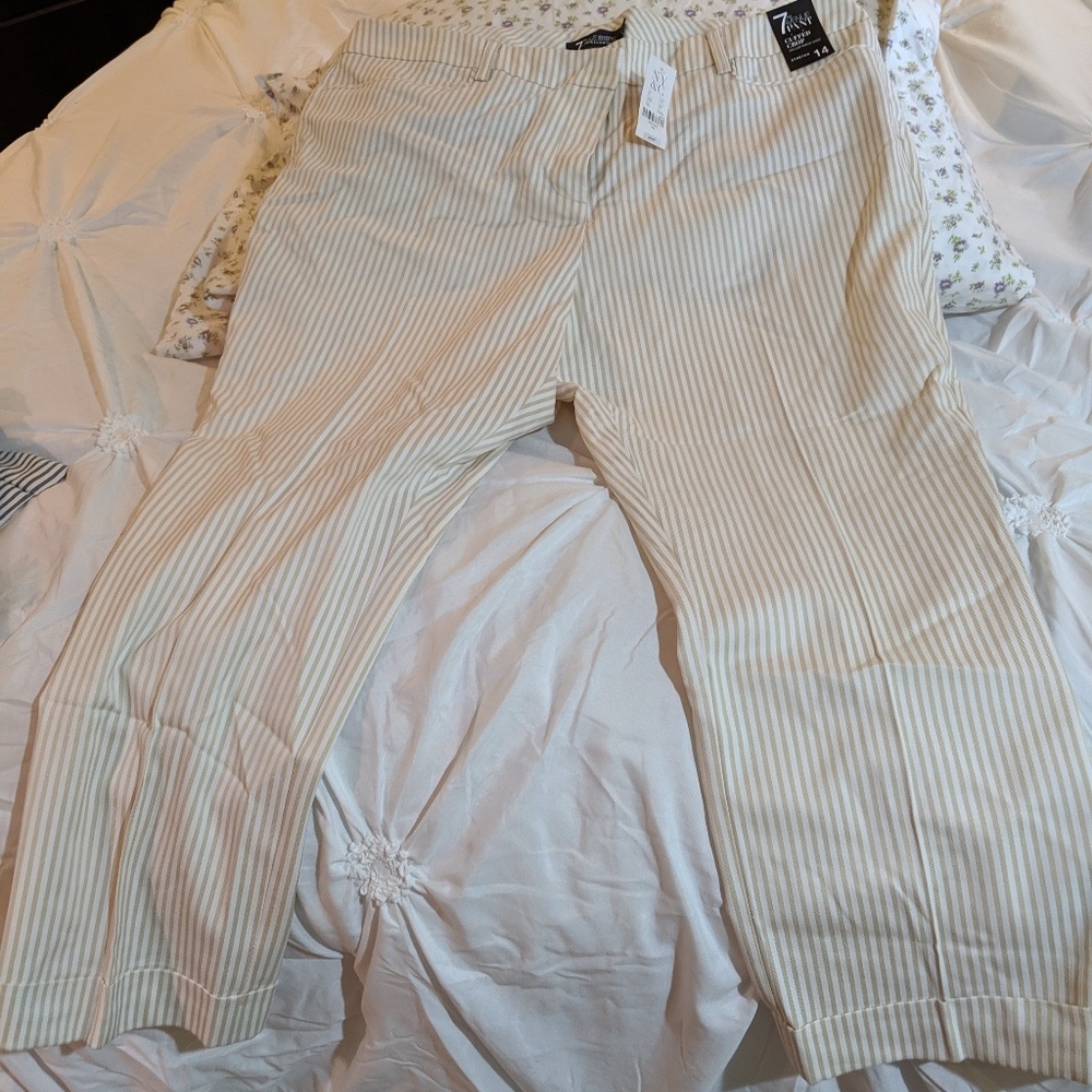 Capris - Picture 2 of 2